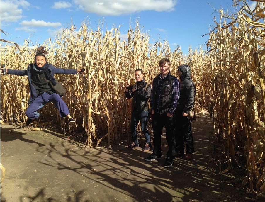 A joyful group stands in a corn maze on a sunny day, with one person jumping mid-air in excitement while others smile and pose with cameras