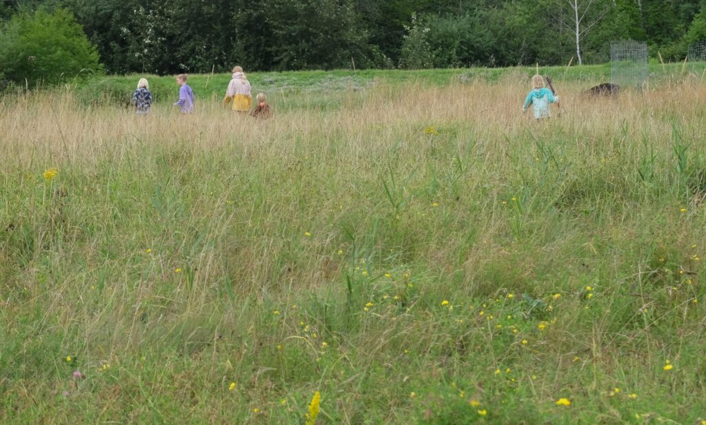 Children amid tall green meadow.