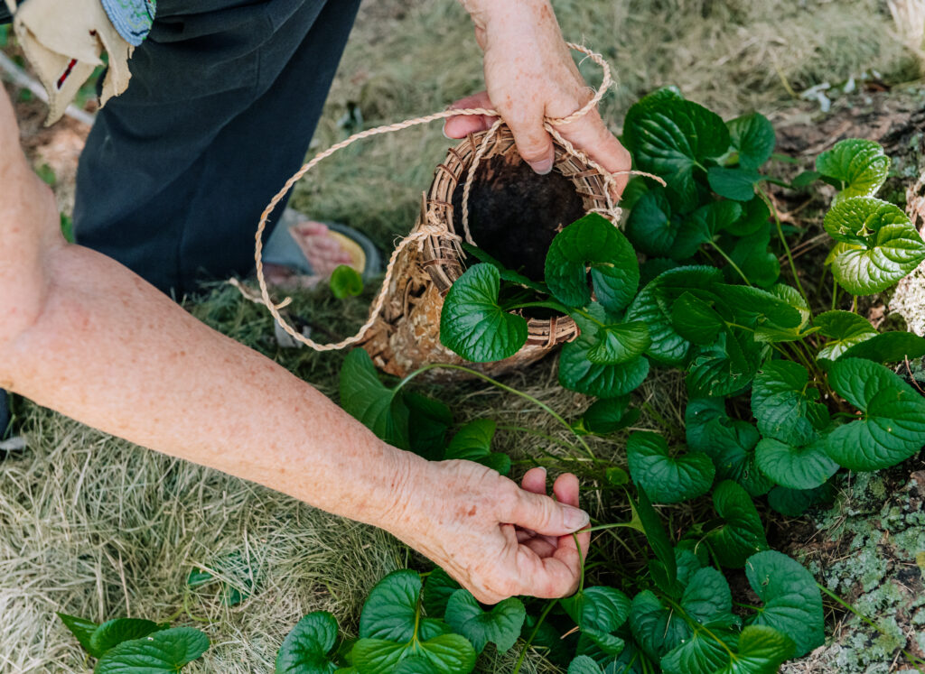 A hand reaches for violet leaves in a garden as the other hand holds a small handmade wooden basket with a rope-like handle.