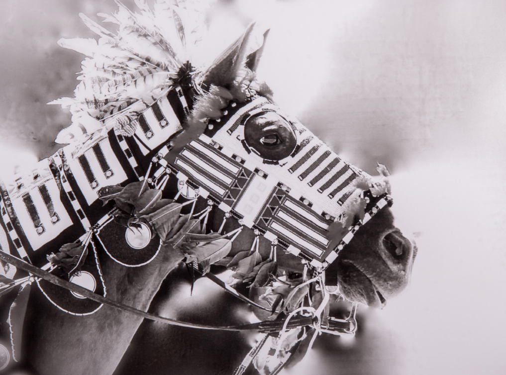 A black and white photograph of a horse wearing a traditional war mask.