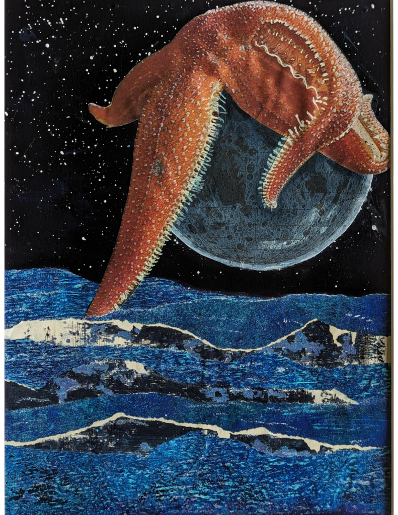 A starfish clinging to a moon in a collage of space and mountains.